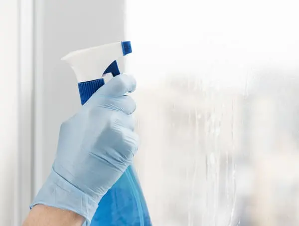 Window Cleaning Featured Clean